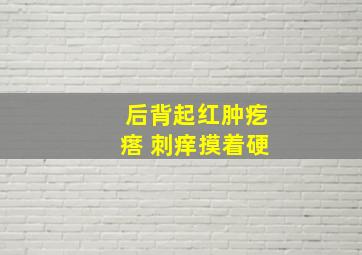 后背起红肿疙瘩 刺痒摸着硬